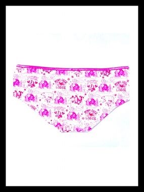 💕ⓅⒾⓃⓀ ⓋⓈ Vintage “PiNK DEER LODGE” Extra Low Rise Hipster Panties NWT💕